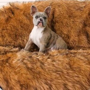 Paw pup dog furniture protector waterproof throw blanket